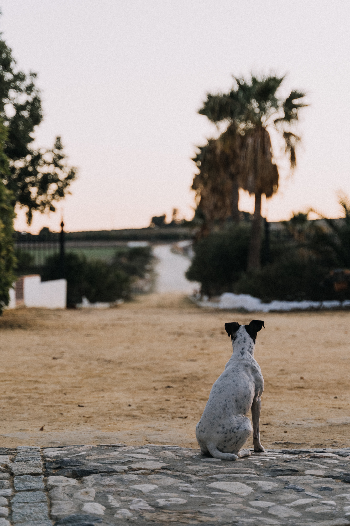 Angel Breche - Fotógrafo